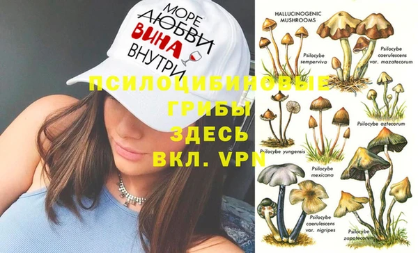 трава Алзамай