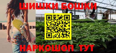 крисы Мариинск