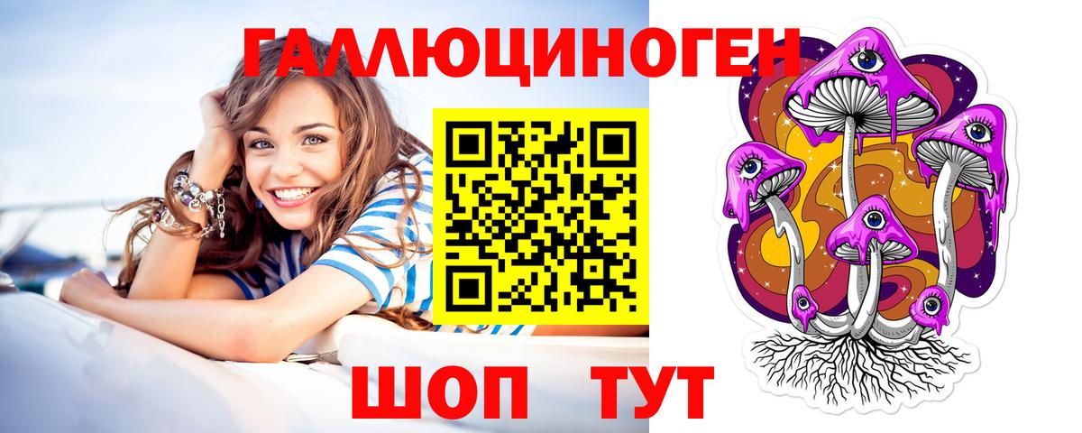 Гурьевск  Псилоцибиновые грибы прущие грибы  Вход с VPN 