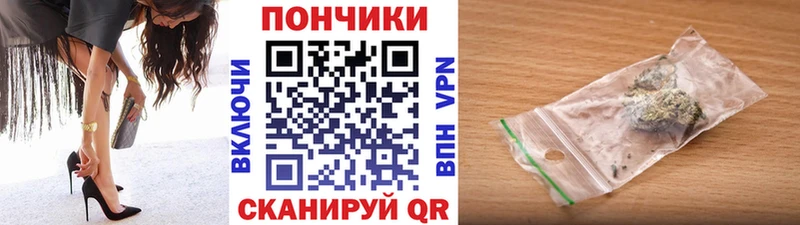 закладки  Гурьевск  МЕГА ТОР  Бошки Шишки планчик 